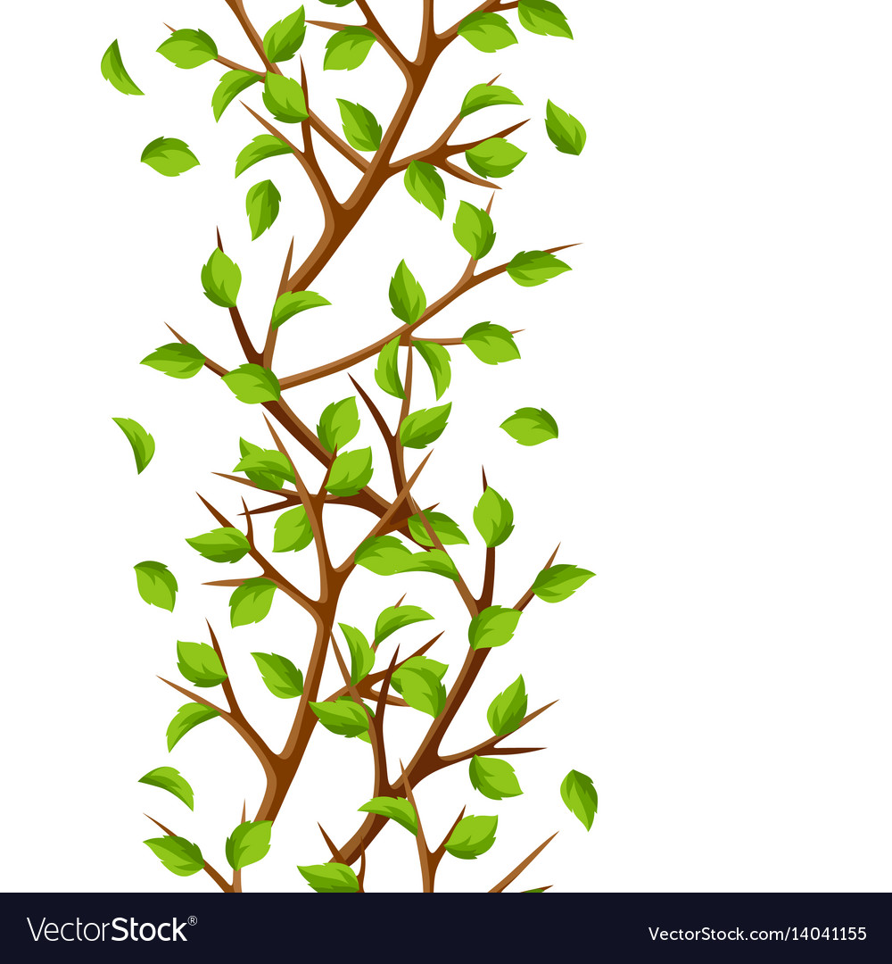 Summer seamless pattern with branches of tree Vector Image
