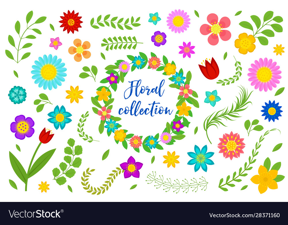 Flowers and leaves set floral collection isolated