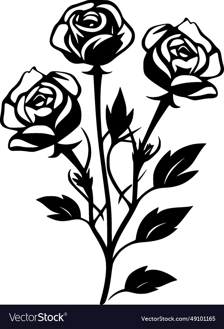 Roses - black and white Royalty Free Vector Image