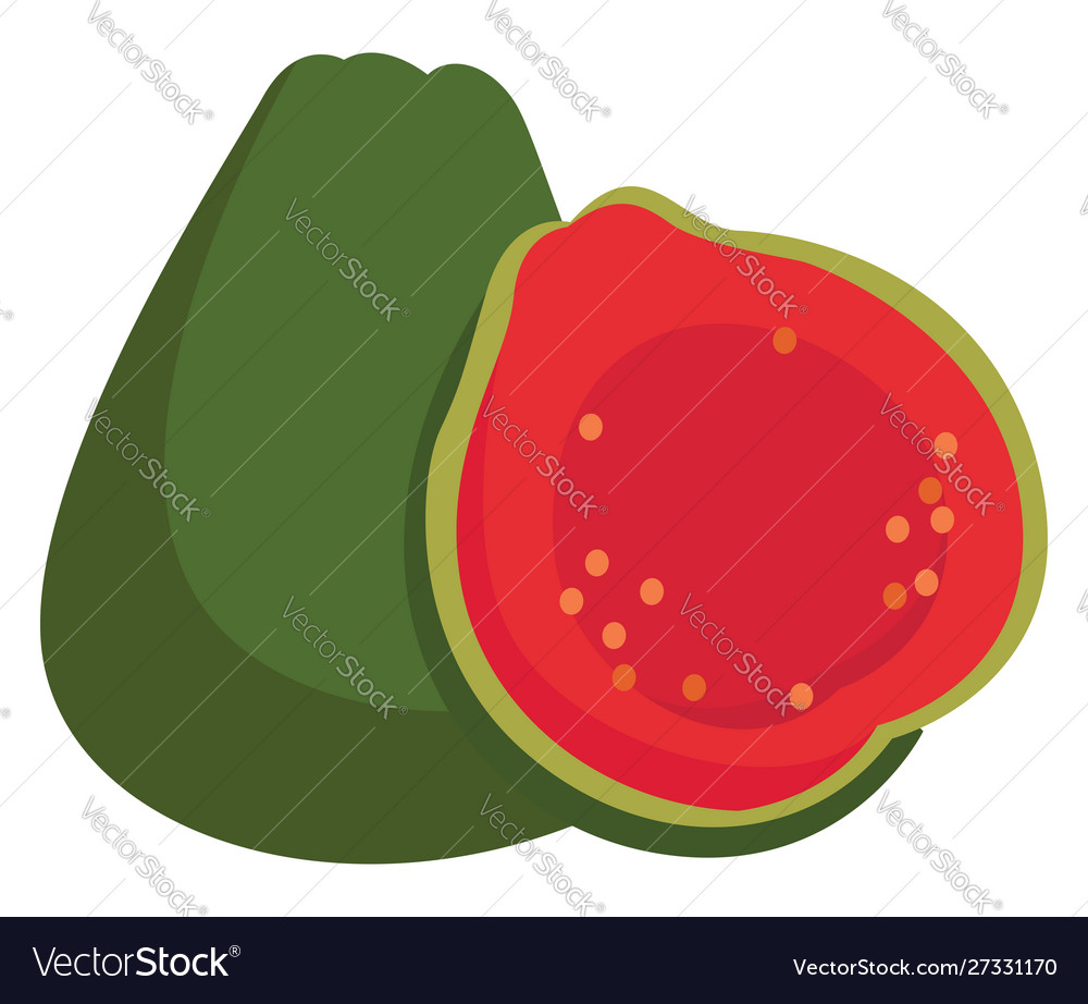 Guava on white background