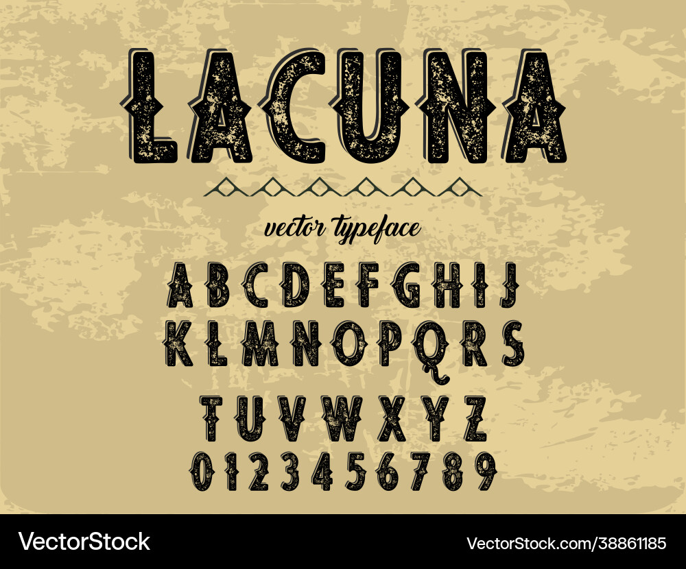 Font scripttypefacealphabet shadow Royalty Free Vector Image