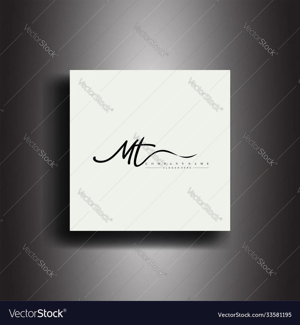 Mt signature style monogramcalligraphic lettering Vector Image
