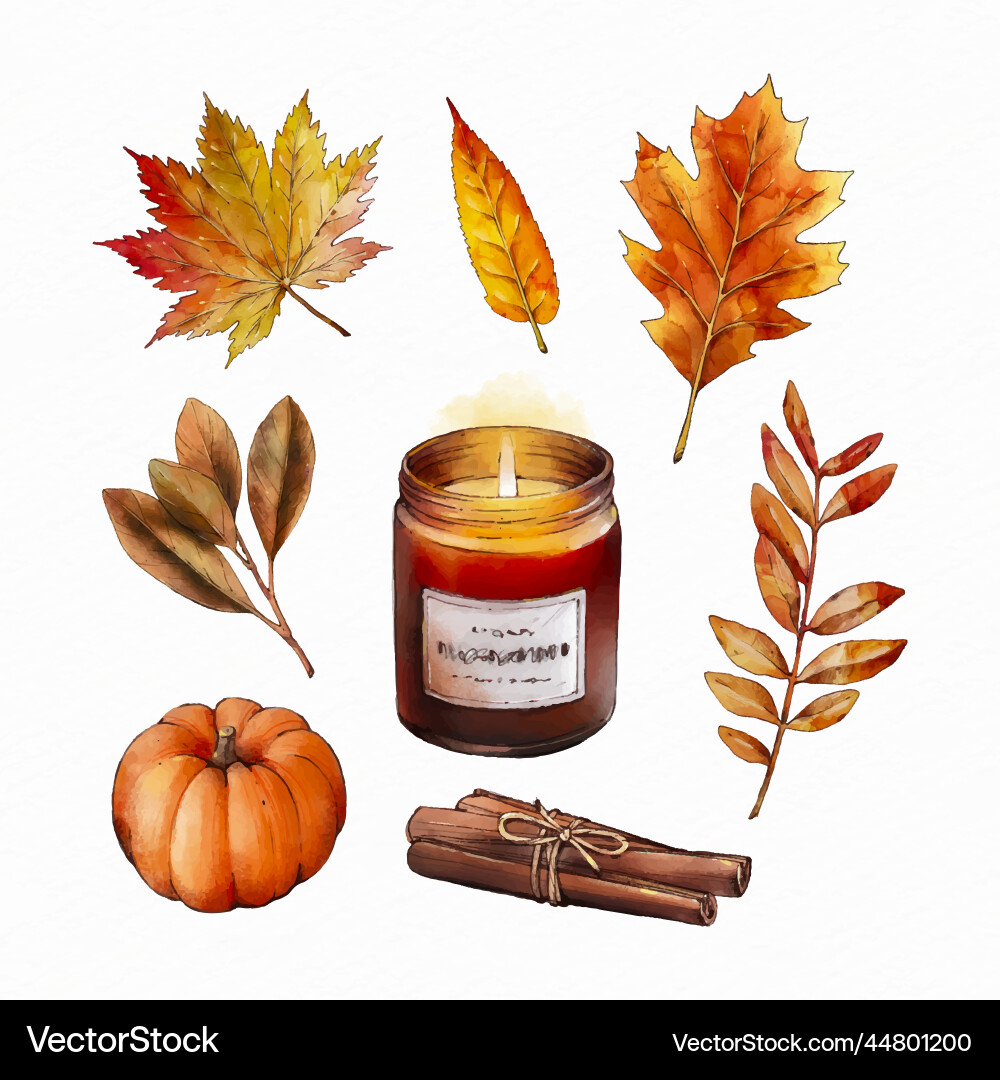 Watercolor autumn elements collection design Vector Image