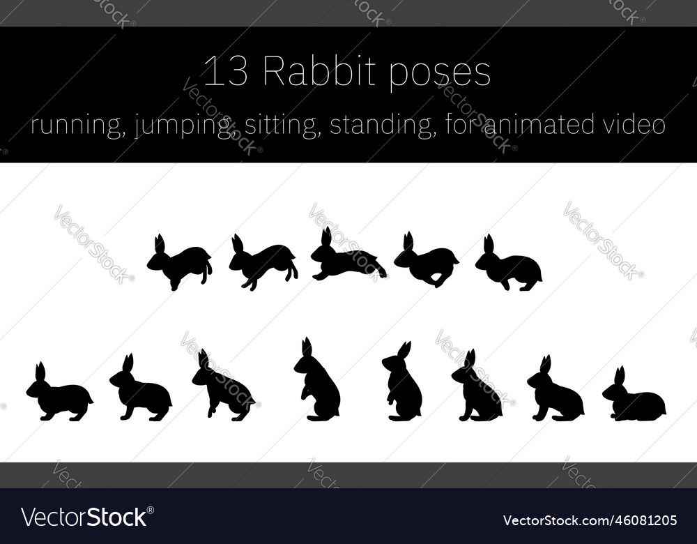 Rabbit movements for animation running and Vector Image Rabbit movements for animation running and Vector Image