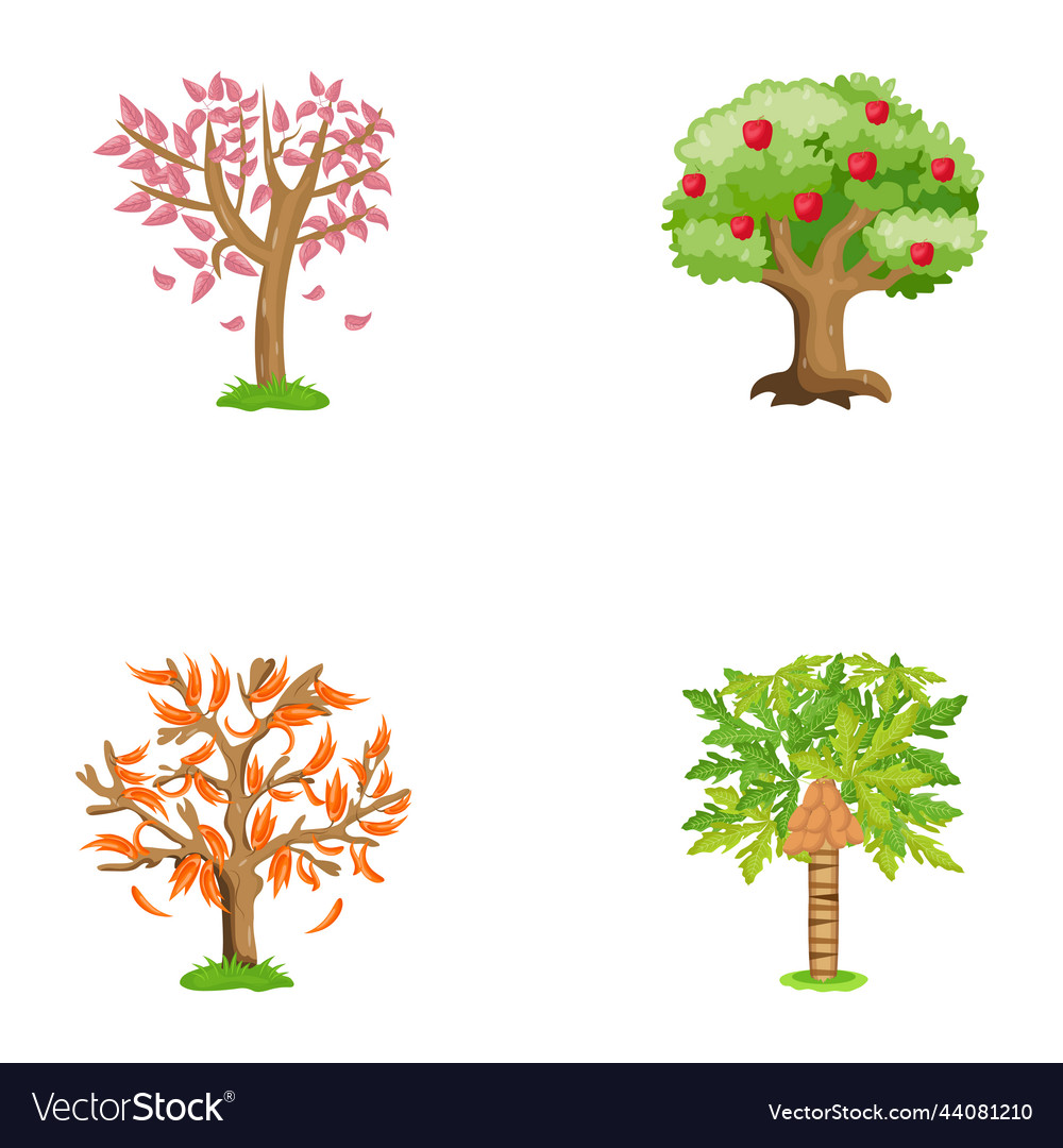 Evergreen Trees Flat Royalty Free Vector Image