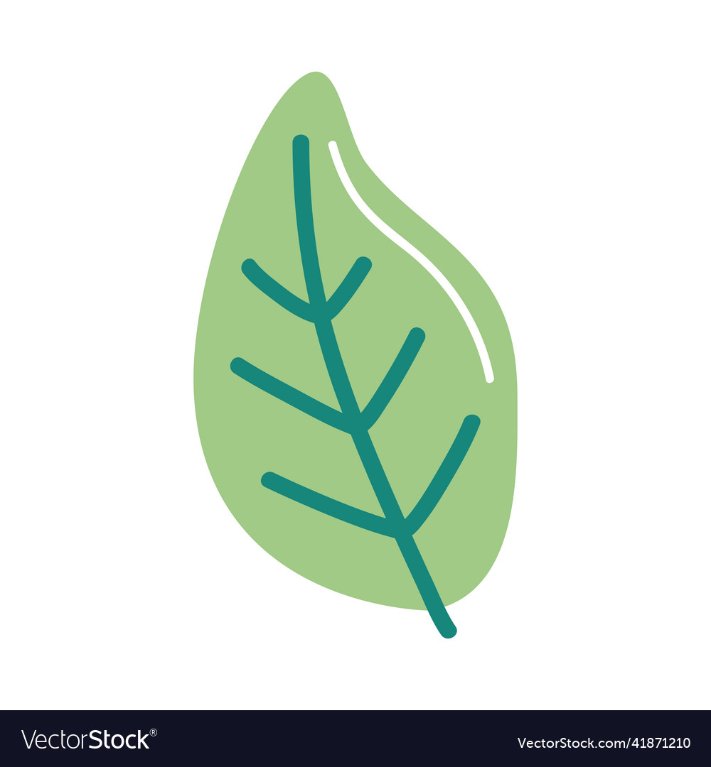 Green eco leaf plant Royalty Free Vector Image