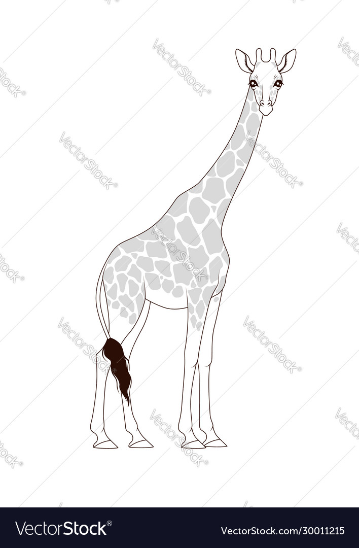 Coloring Book Giraffe Royalty Free Vector Image Coloring Book Giraffe Royalty Free Vector Image