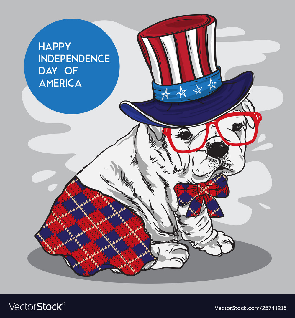 Doggy character fun independence day america Vector Image Doggy character fun independence day america Vector Image