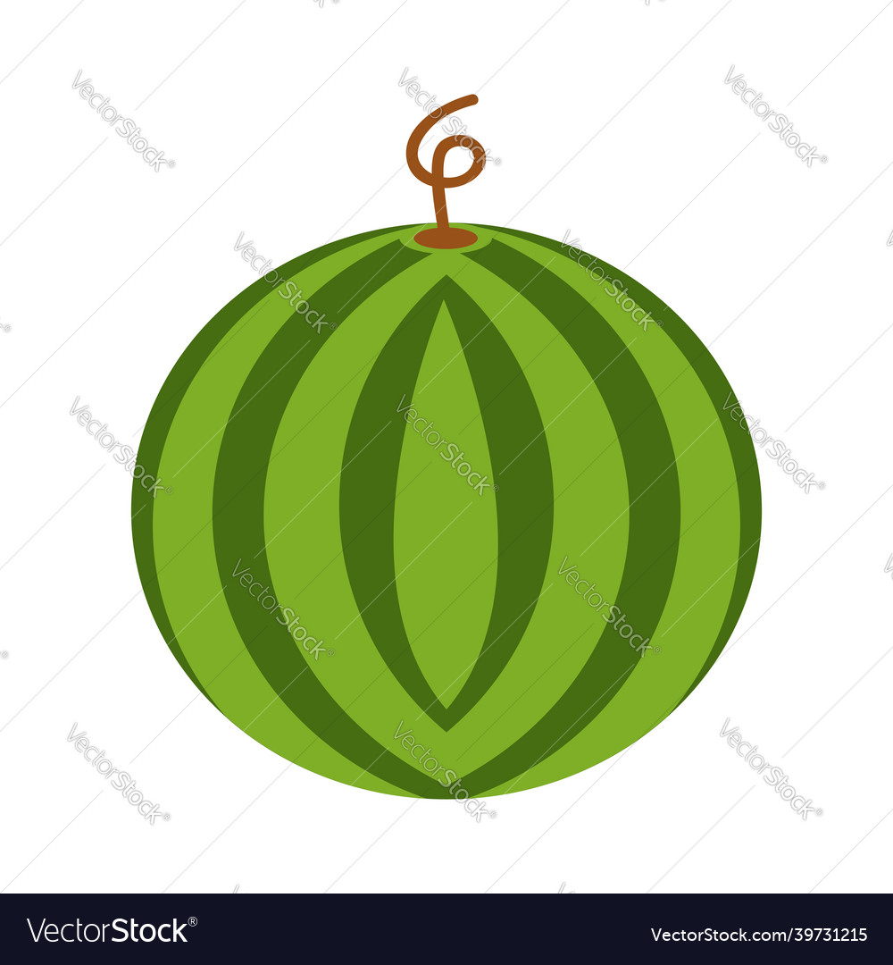 Watermelon icon in flat style Royalty Free Vector Image