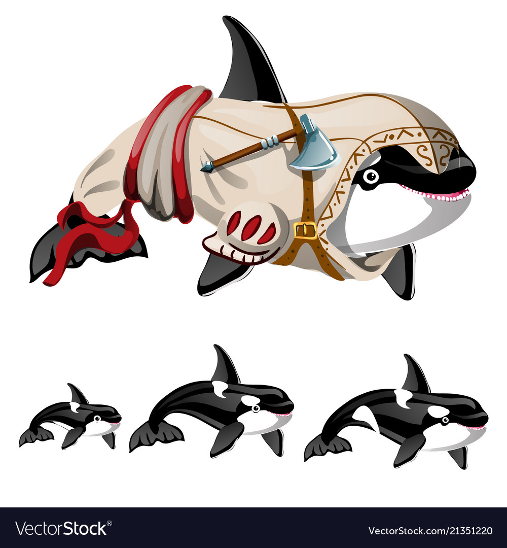Set of killer whale or orca isolated vector image Set of killer whale or orca isolated