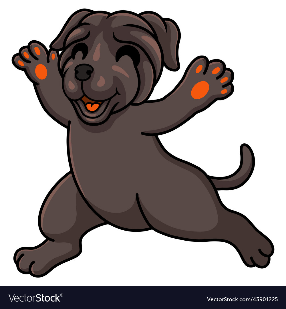 Cute neapolitan mastiff dog cartoon walking Vector Image