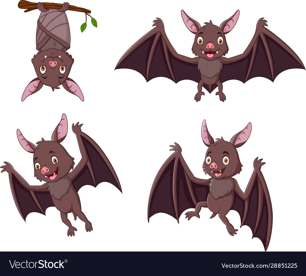 Bat, Halloween Bat File, mammal, holidays, vertebrate png