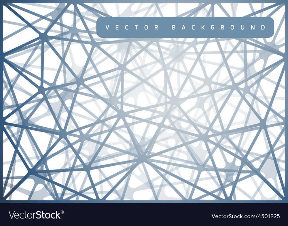 spiderweb design royalty free vector image vectorstock