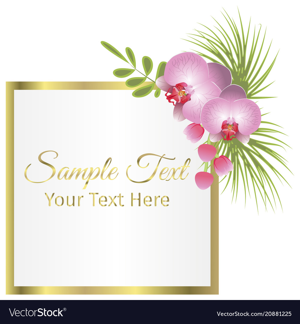 Tropical Frame Fl Summer Leaf Aloha Design Vector Image On Vectorstock