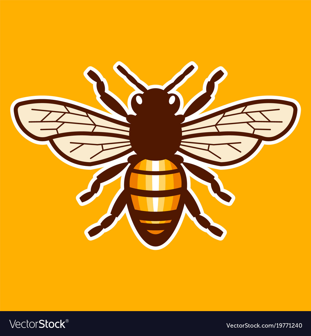 Honey Bee Royalty Free Vector Image Vectorstock