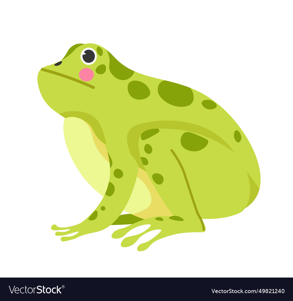 Toad or frog sitting aquatic creature reptile Vector Image