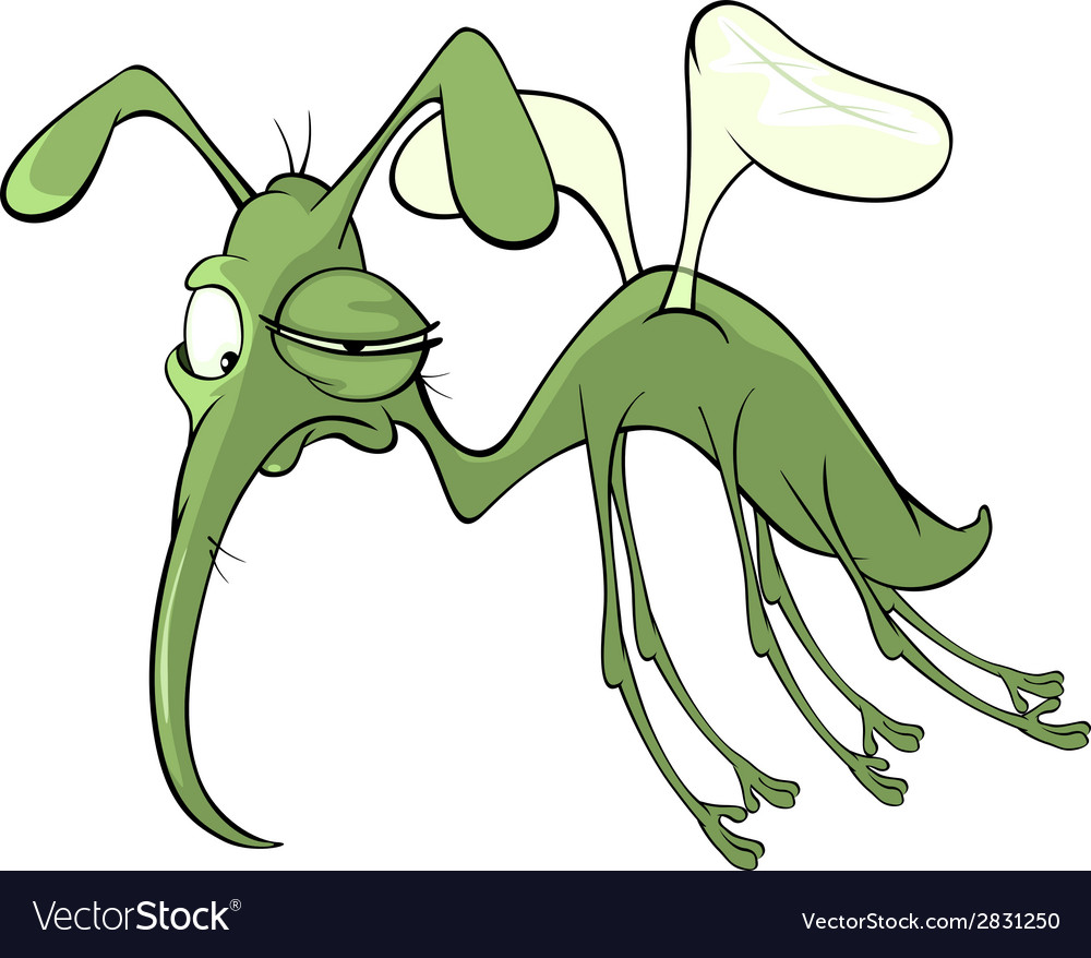 A green mosquito insect cartoon Royalty Free Vector Image