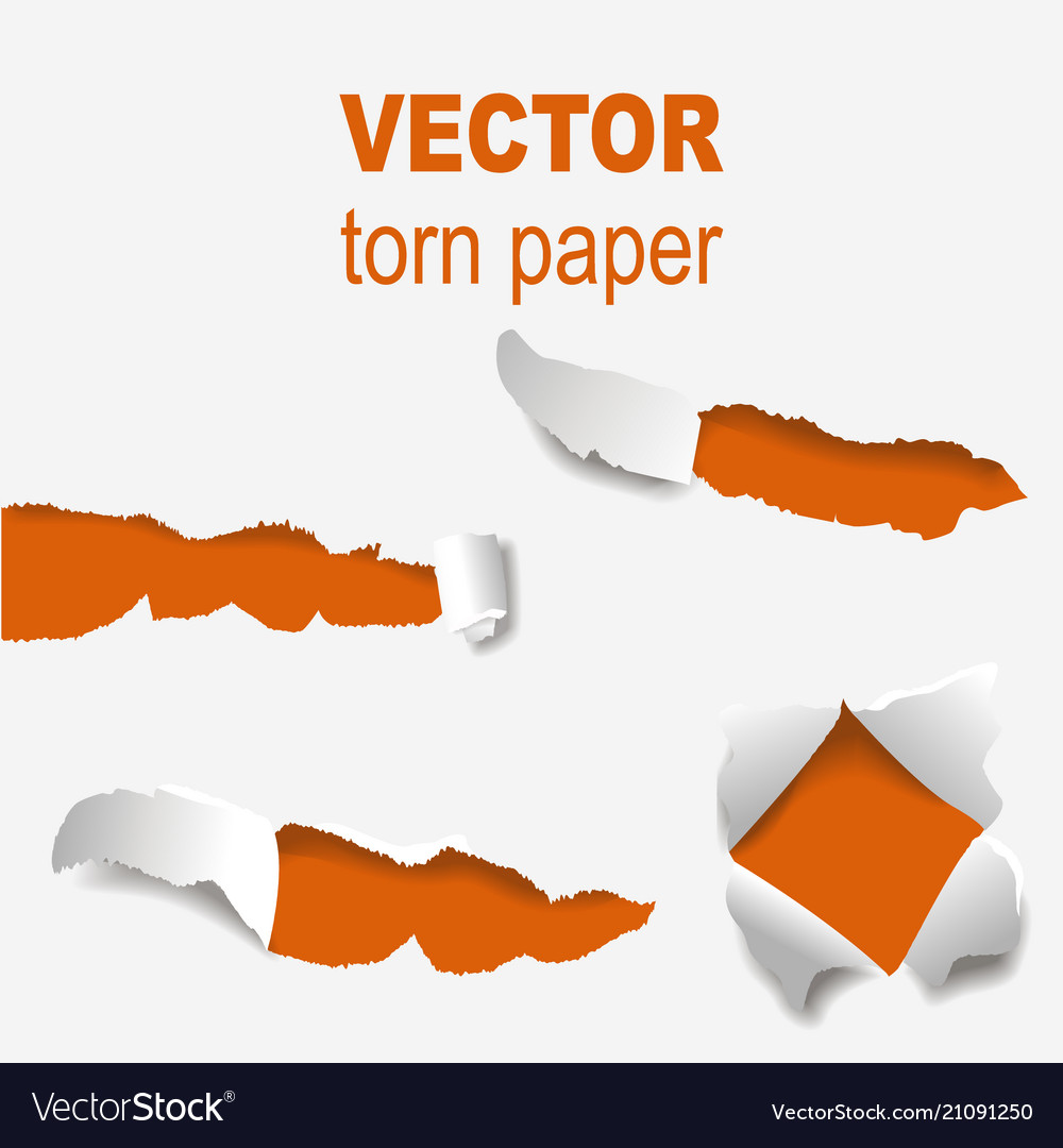 Torn edges paper hole lacerated ragged edge Vector Image