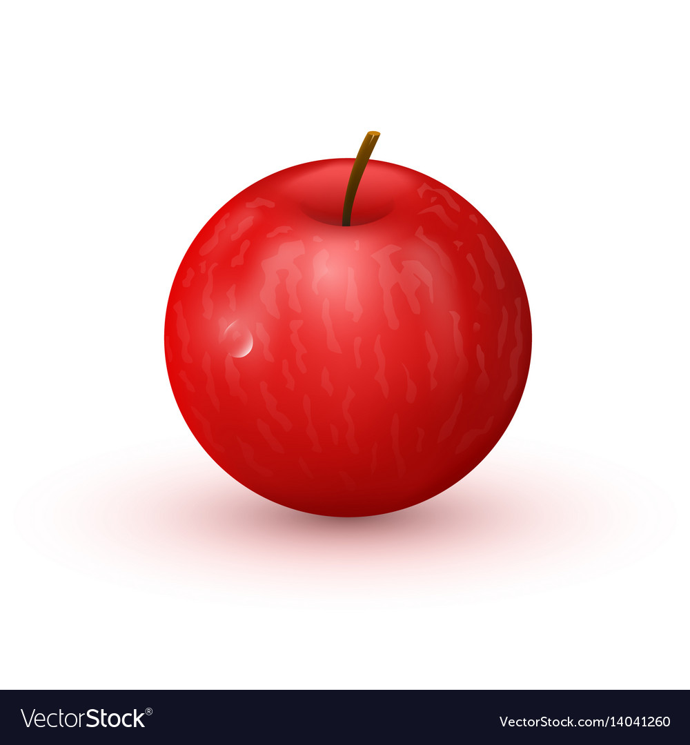 Red apple on white background Royalty Free Vector Image