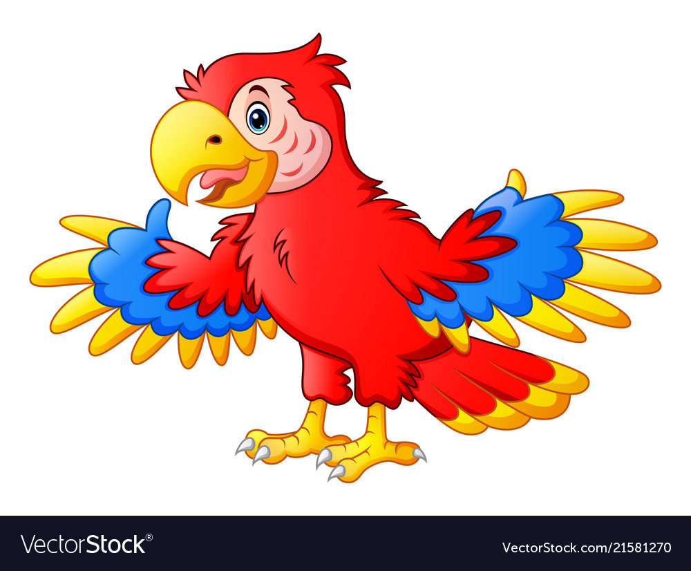 Cute parrot cartoon Royalty Free Vector Image - VectorStock