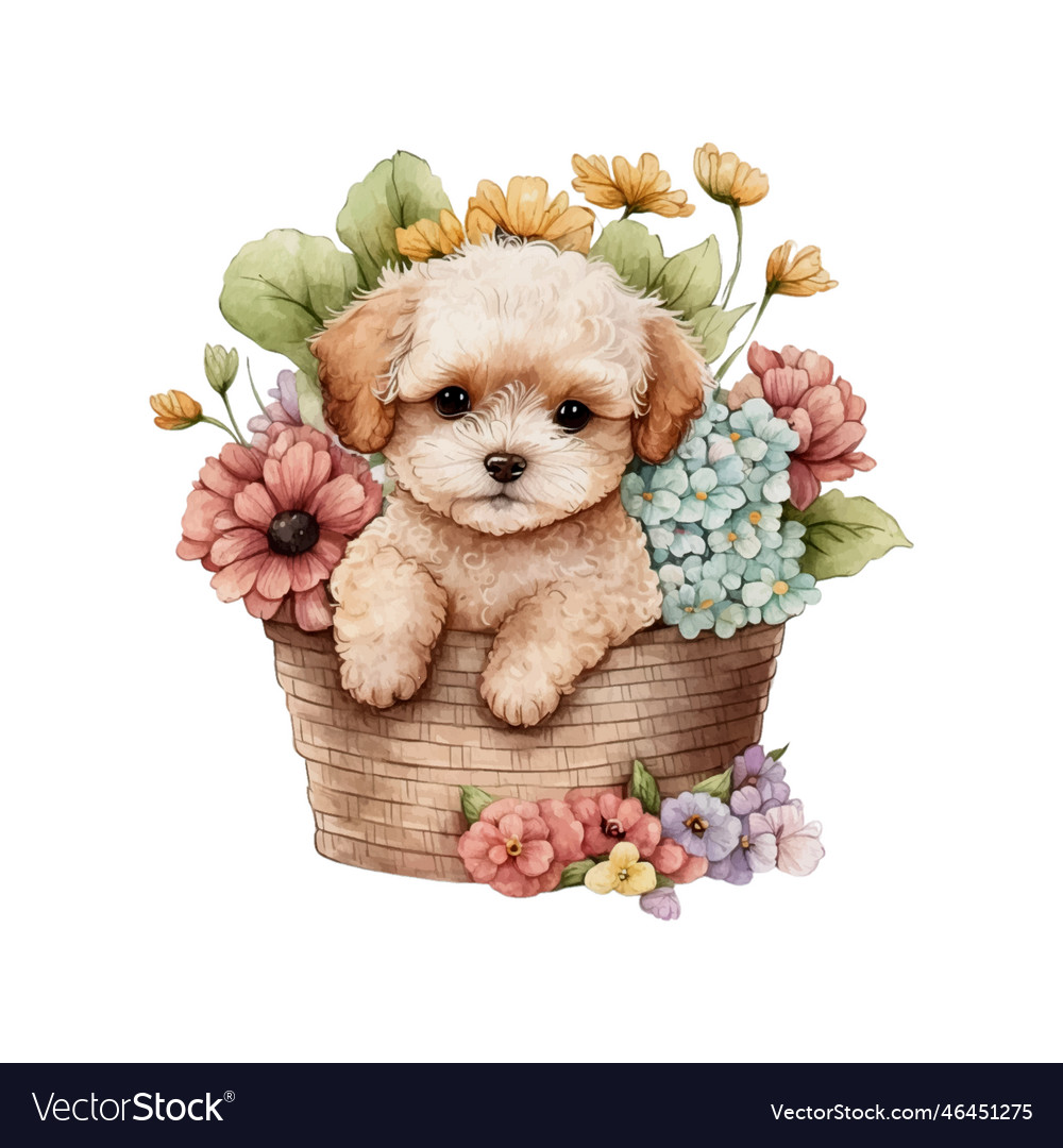 Baby maltipoo puppy in flower basket cute puppy Vector Image