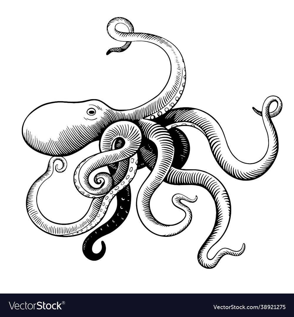 Hand drawn octopus in woodcut engraving vintage Vector Image