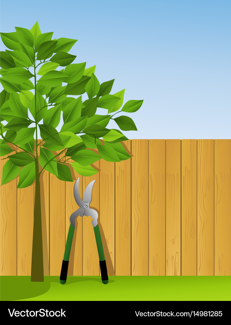 Garden scissors Royalty Free Vector Image - VectorStock