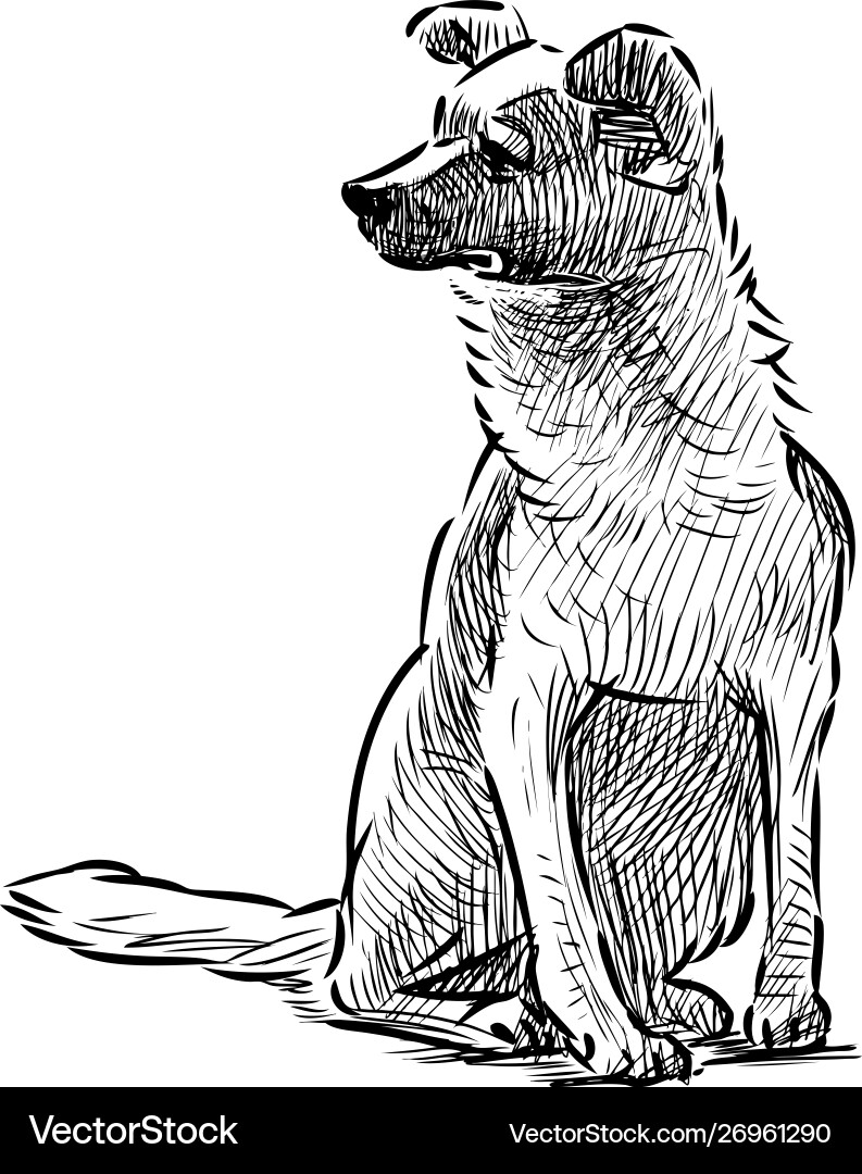 A Hand Drawing A Sitting Dog Royalty Free Vector Image