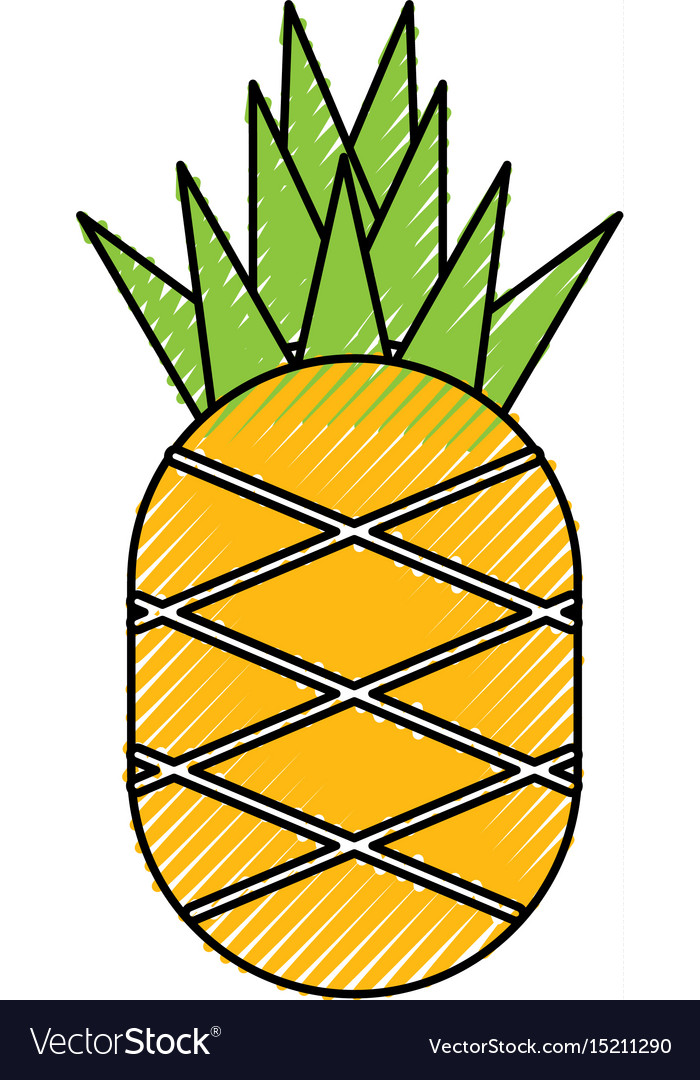 Pineapple fresh fruit isolated icon Royalty Free Vector