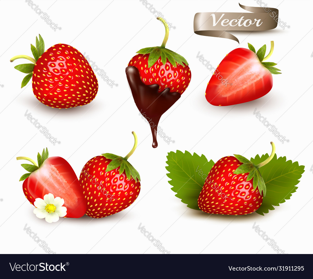 Whole and slice strawberry strawberry in a Vector Image