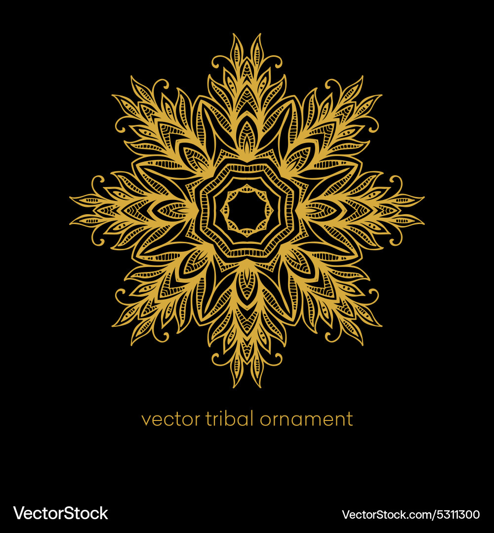 Mandala Ethnic decorative elements Royalty Free Vector Image