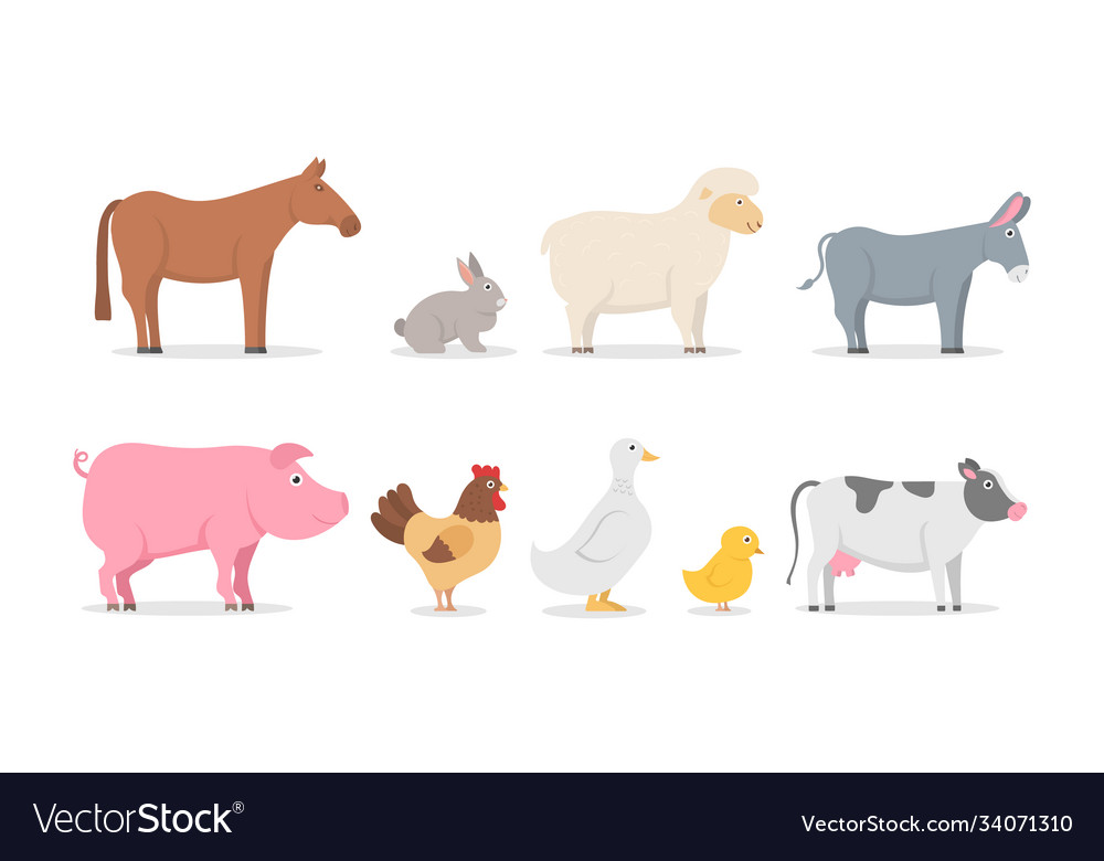 Set farm animals