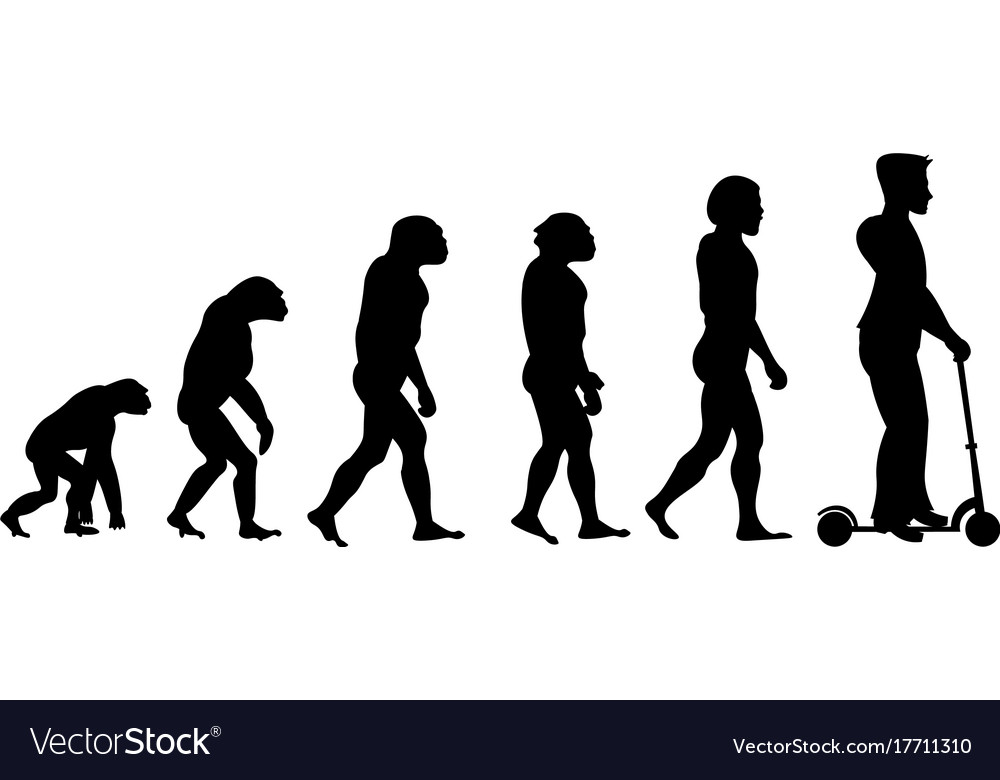 Theory evolution of human from monkey to man on Vector Image