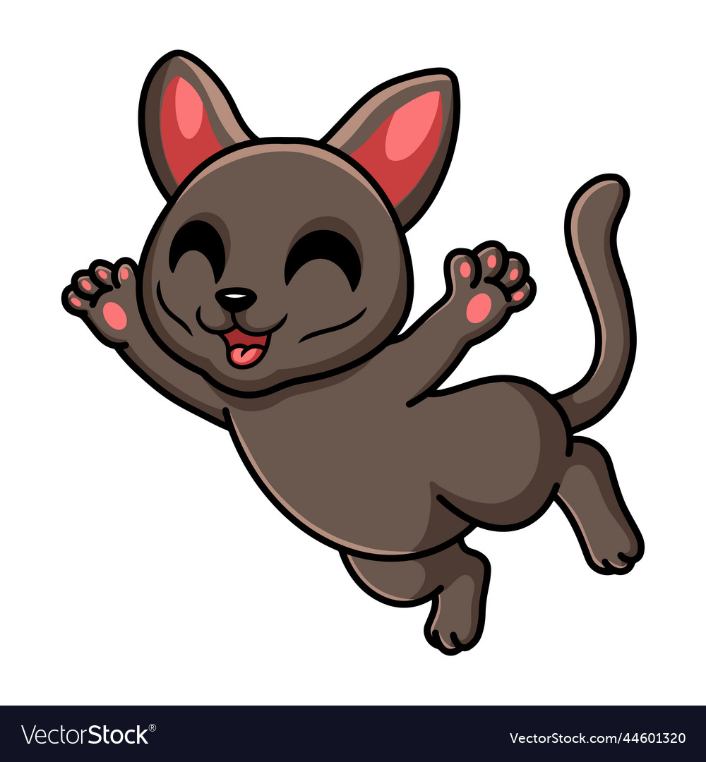 Cute korat cat cartoon flying Royalty Free Vector Image Cute korat cat cartoon flying Royalty Free Vector Image