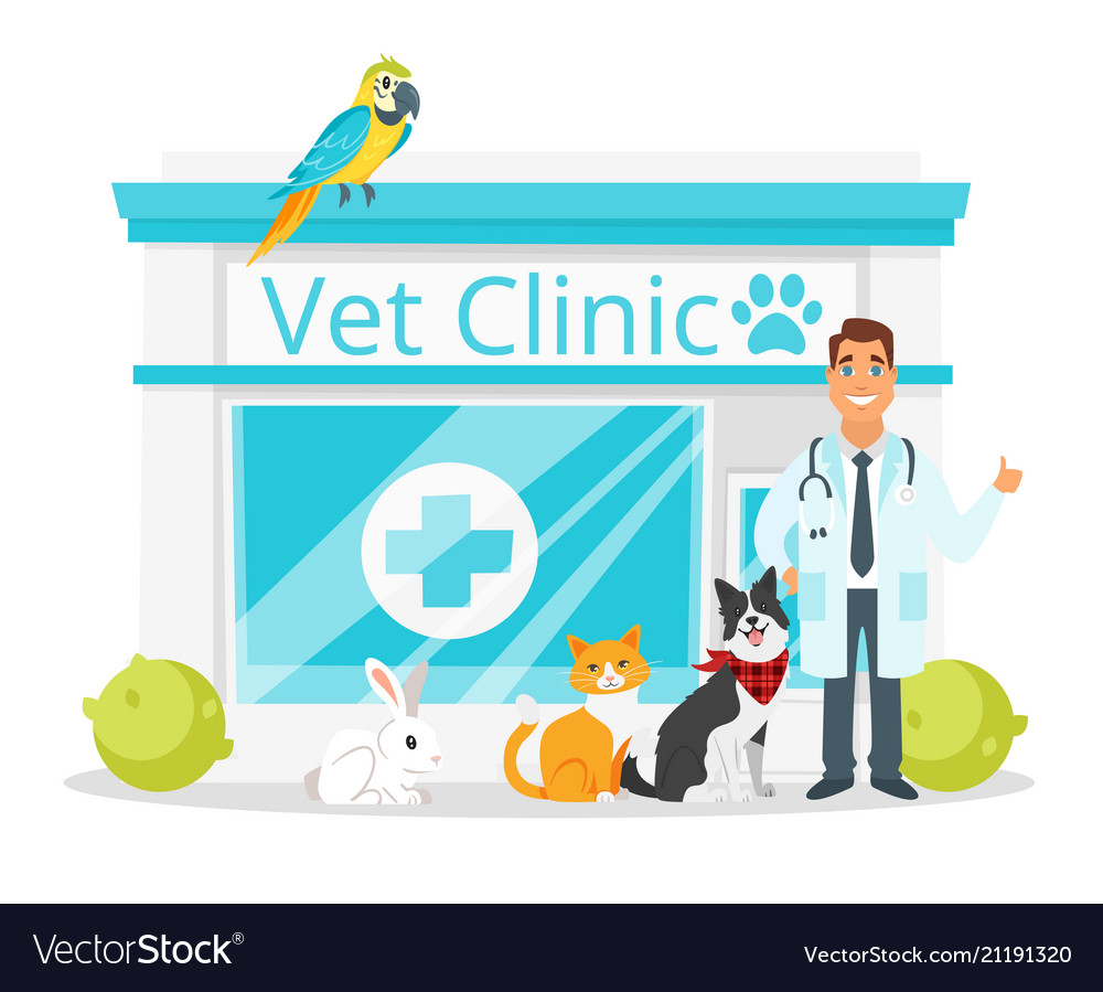 Vet clinic with doctor Royalty Free Vector Image