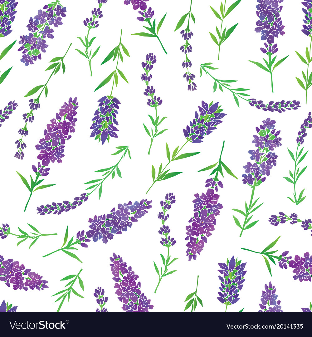 Lavender-04 Royalty Free Vector Image - VectorStock