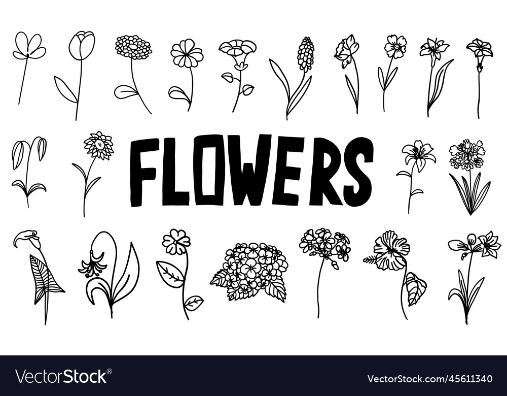 Flowers black and white set in outline style Vector Image