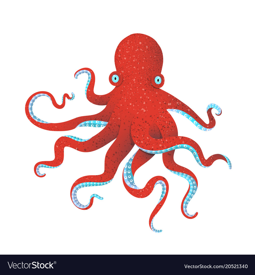 Red octopus Royalty Free Vector Image - VectorStock