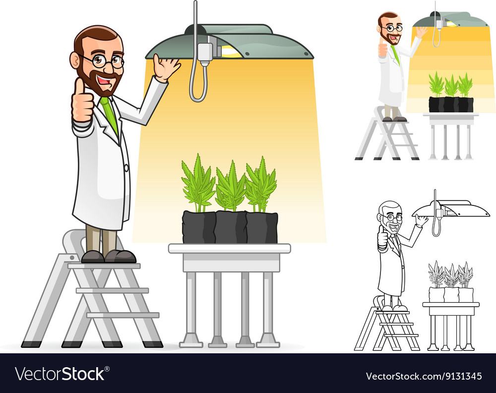 Plant scientist hanging a grow light Royalty Free Vector