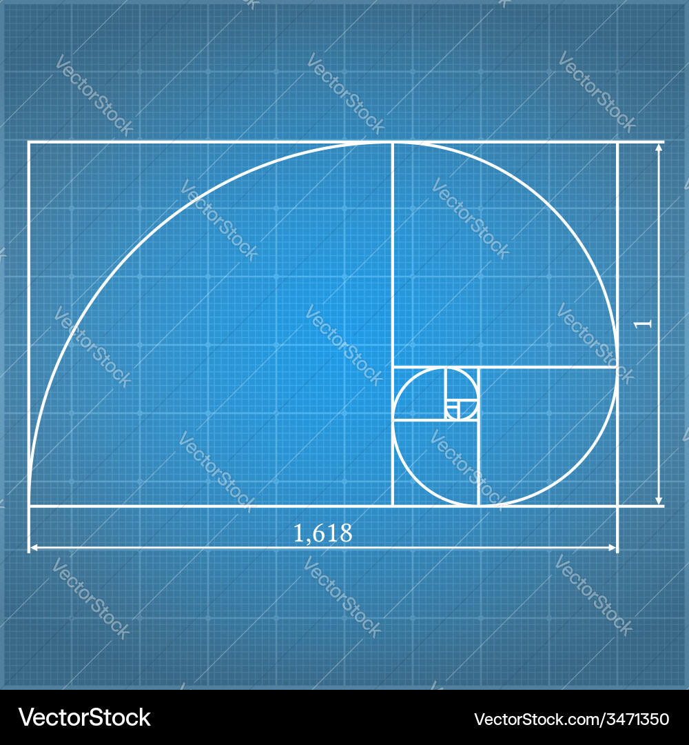 Golden proportion Royalty Free Vector Image - VectorStock