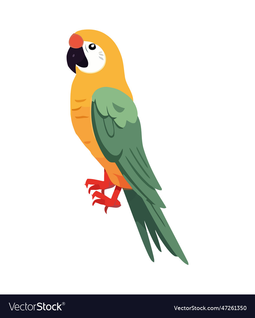 Parrot perched on branch feathers flying Vector Image