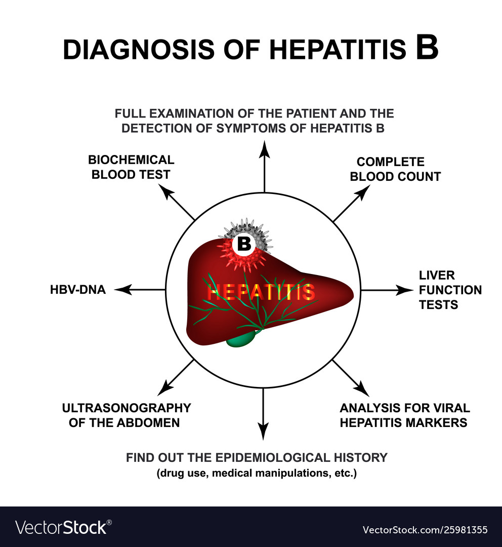 Diagnosis Hepatitis B World Day Royalty Free Vector Image