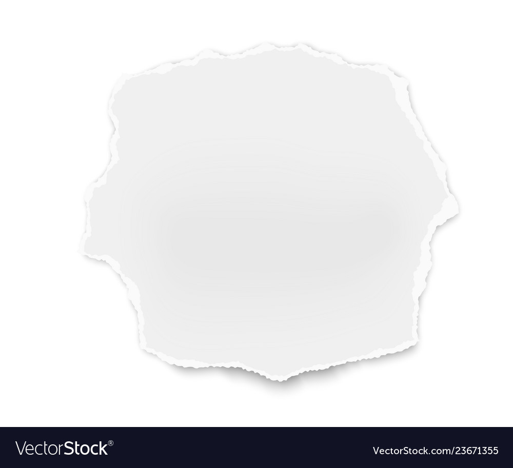 Ripped paper tear solated on white background Vector Image