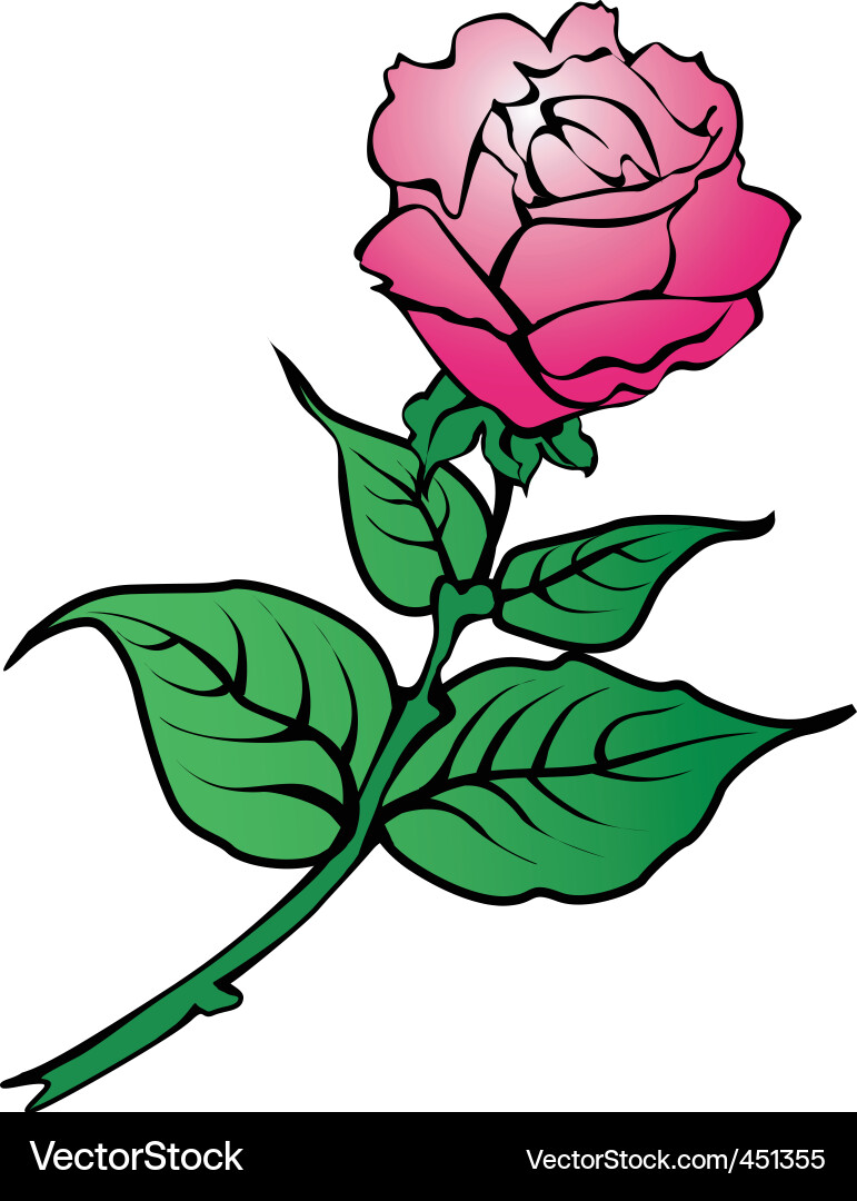 Rose flower Royalty Free Vector Image - VectorStock