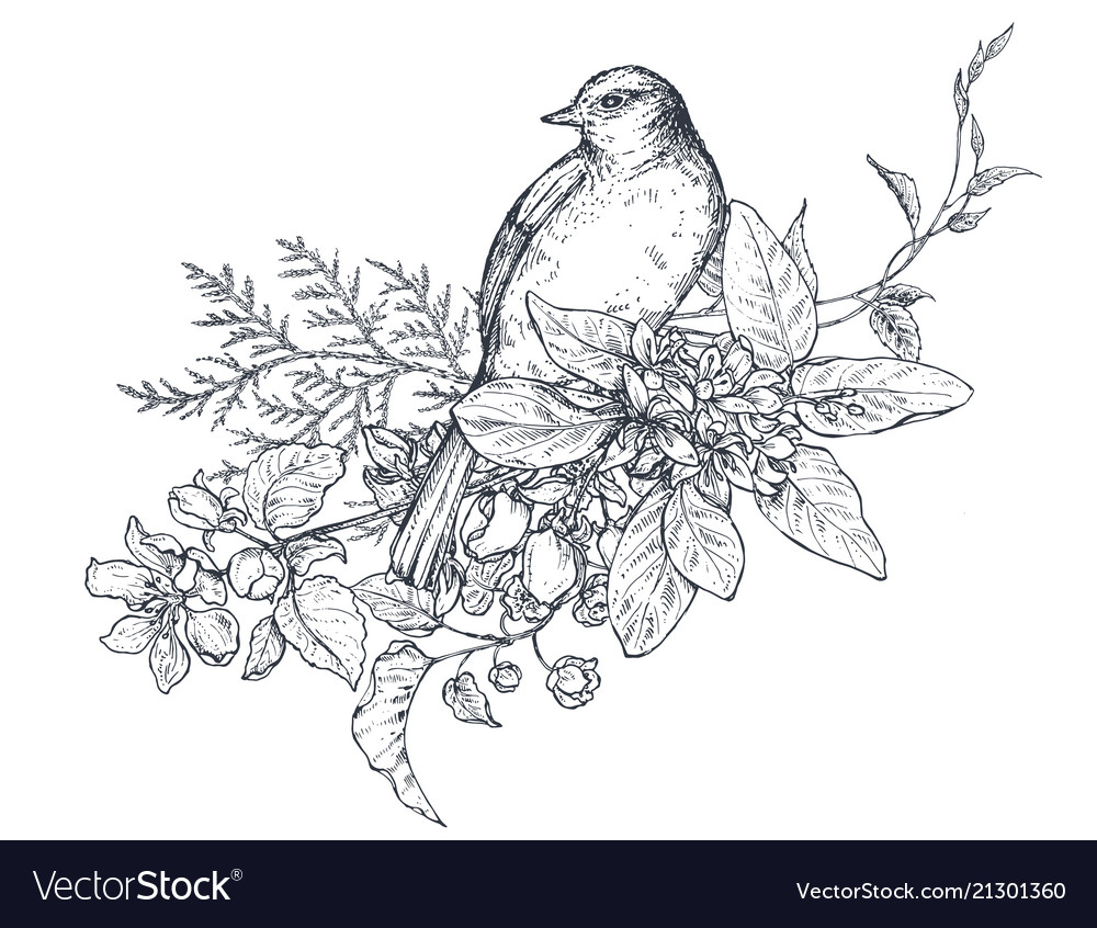 Bouquet With Hand Drawn Blossom Branches And Bird Vector Image