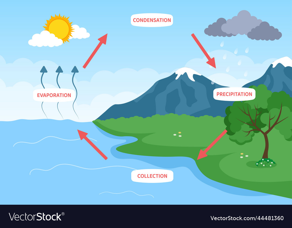 Water cycle of evaporation condensation Royalty Free Vector