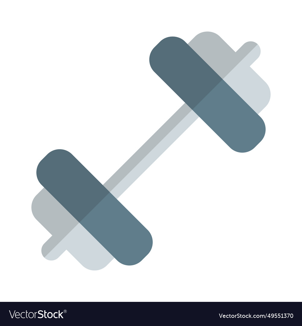 Weightlifting with plates connected at both ends Vector Image