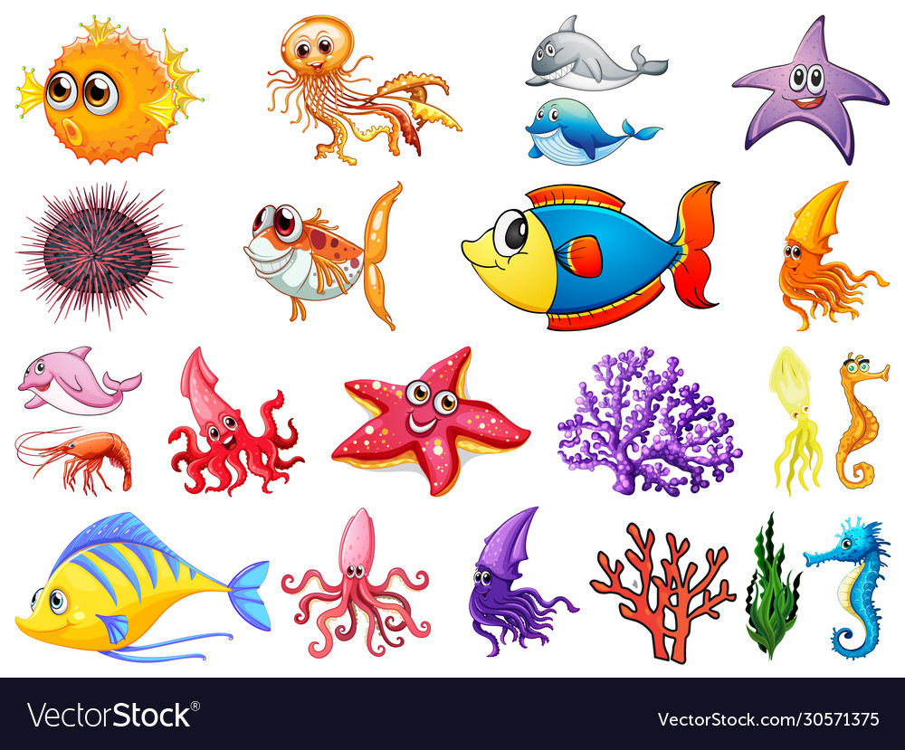 Large set sea creatures on white background Vector Image Large set sea creatures on white background Vector Image