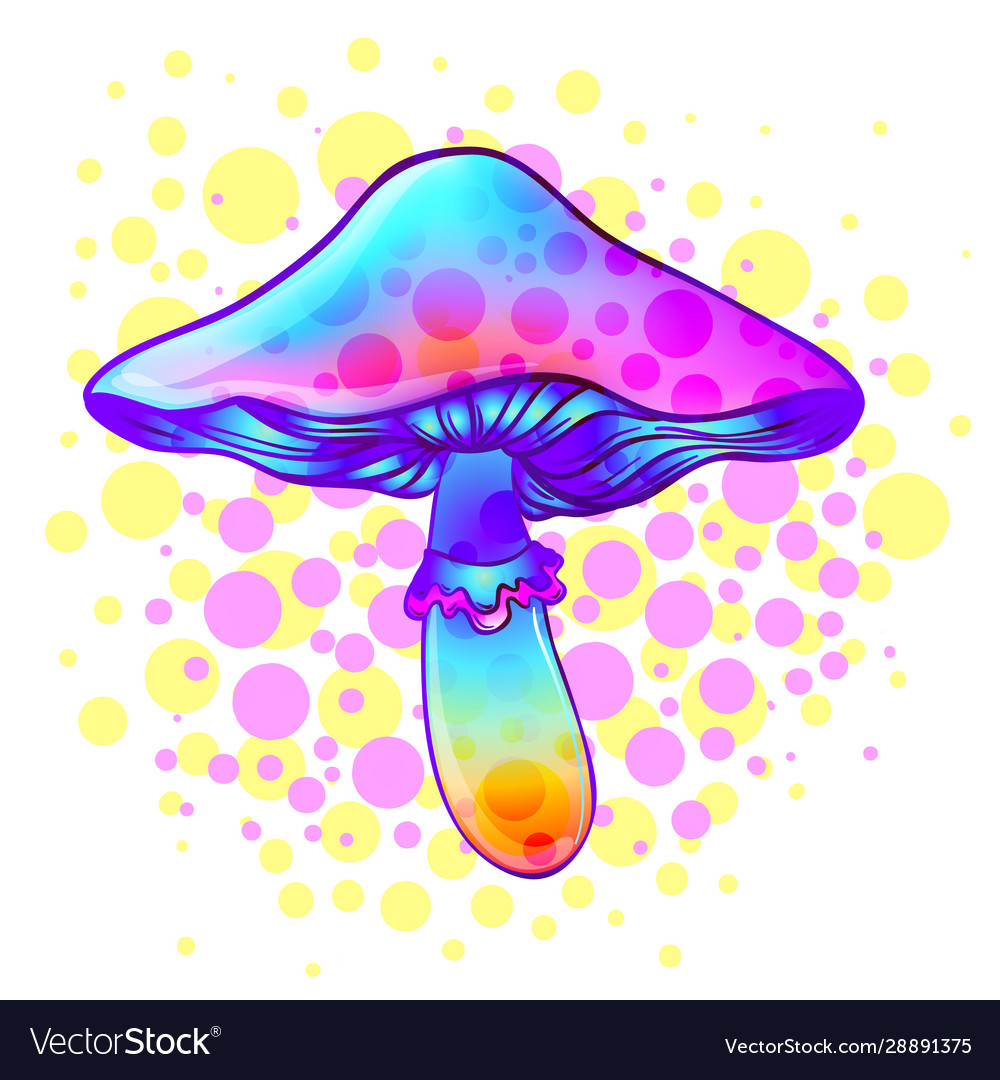 Magic Mushrooms Psychedelic Hallucination Vector Image