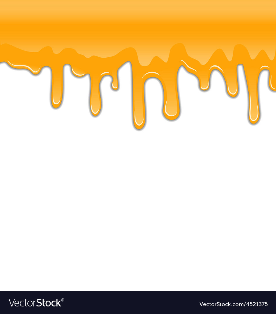 Texture sweet honey drips on white background Vector Image